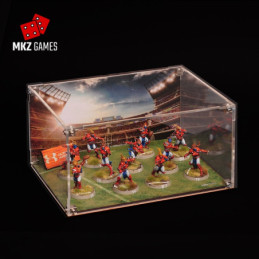 Urna de metacrilato edición Blood Bowl con equipo elfo
